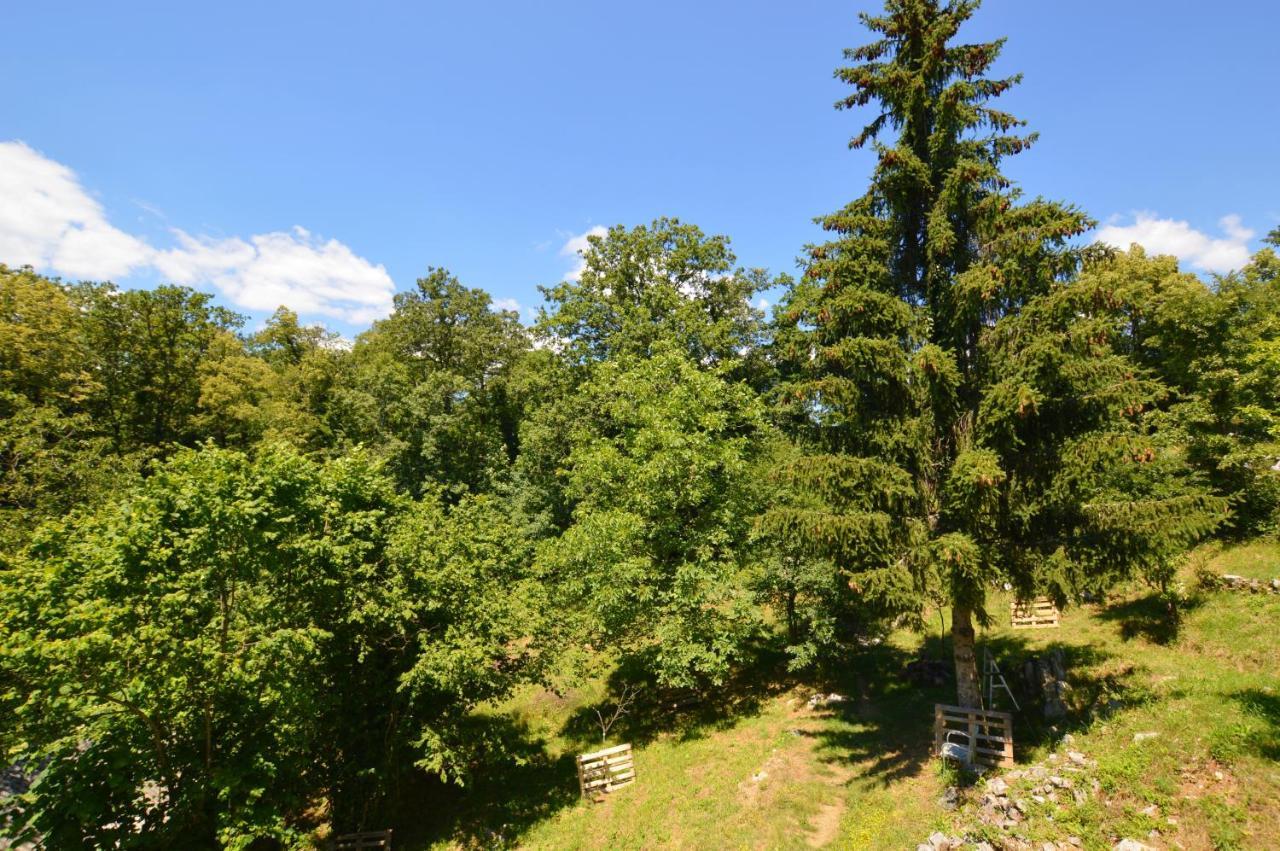 Haus Natura Jurdani Exteriér fotografie