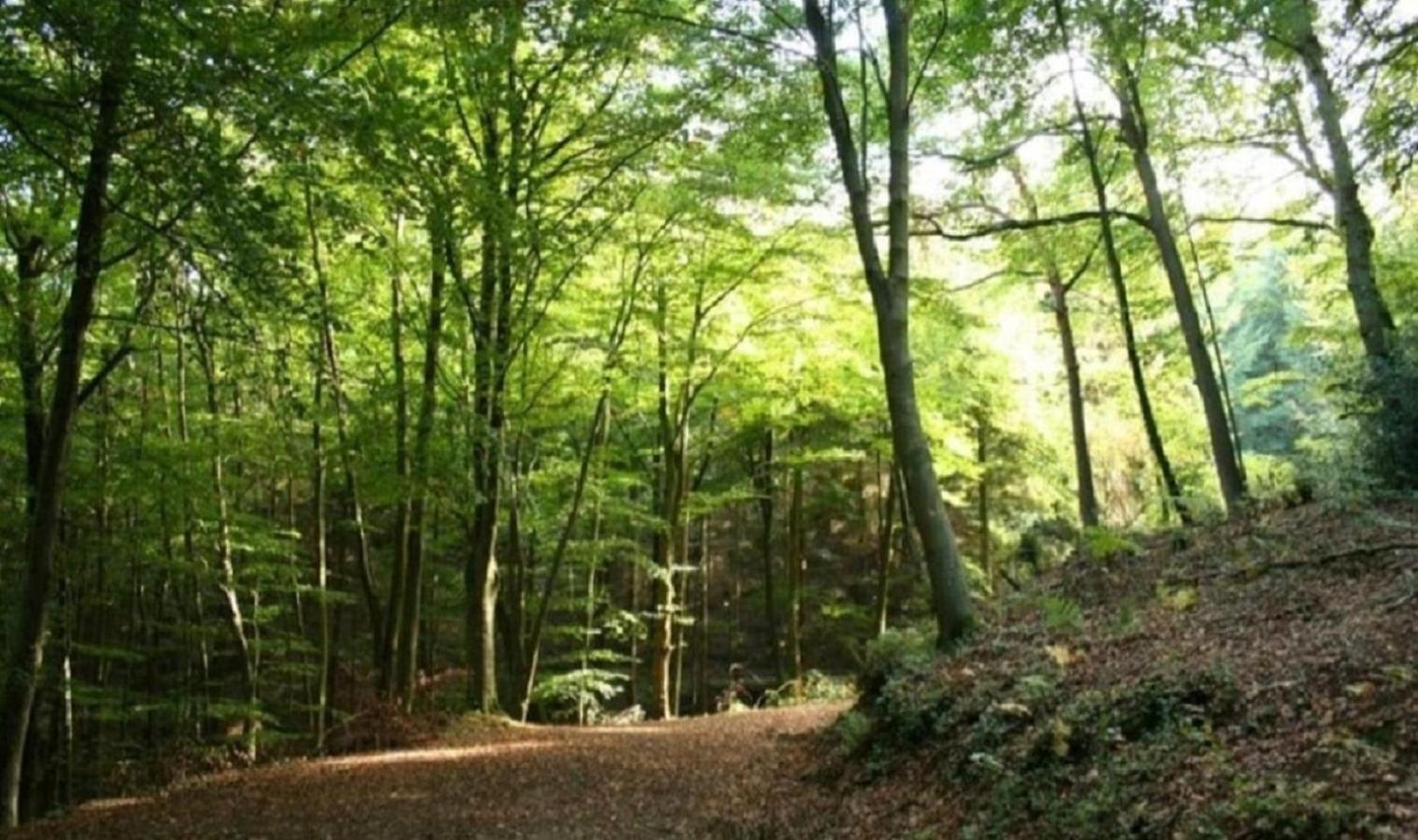 Haus Natura Jurdani Exteriér fotografie